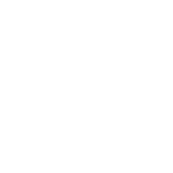 Visionless